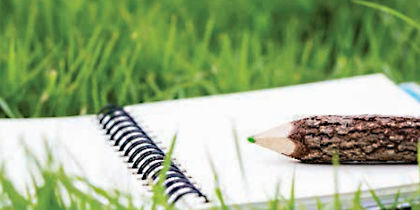 diagnostico-ambiental